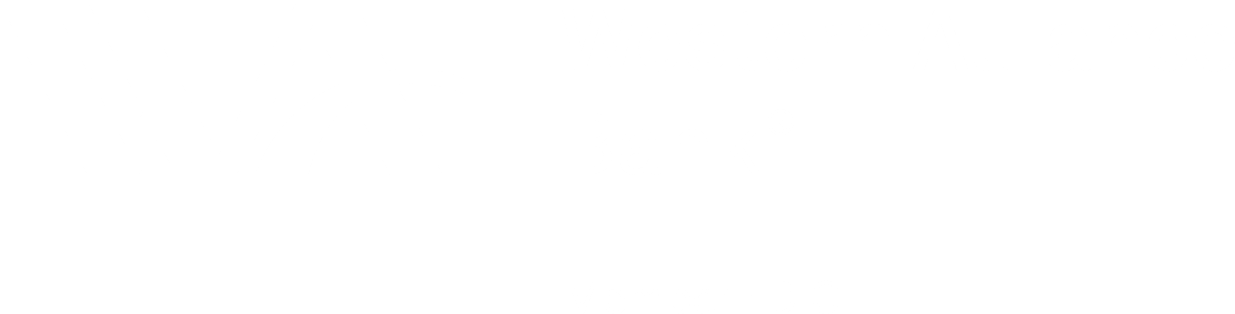 Western Alliance Bank Logo